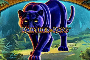 Panther Pays - TERRABET168