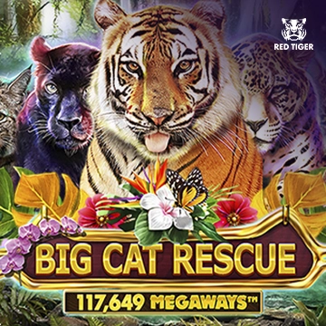 Redtiger : Big Cat Rescue Megaways - TERRABET168