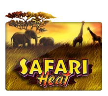 Joker123 : Safari Heat - TERRABET168