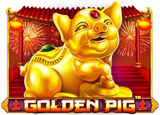 Golden Pig - TERRABET168