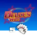 Deuces Wild 5 Hand - TERRABET168