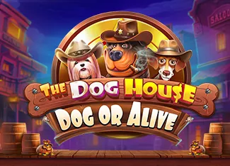 The Dog House - Dog or Alive - TERRABET168
