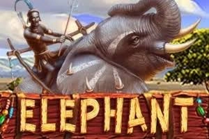 PLAYSTAR : ELEPHANT - TERRABET168