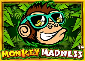 Monkey Madness - TERRABET168