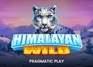 Himalayan Wild - TERRABET168