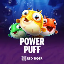 Power Puff - TERRABET168