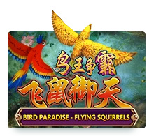 Bird Paradise - TERRABET168