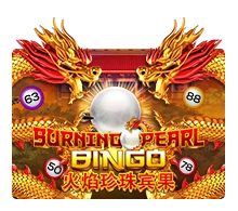 Burning Pearl Bingo - TERRABET168