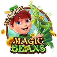 MAGIC BEANS - TERRABET168