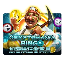 Crypto Mania Bingo - TERRABET168