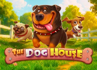 The Dog House - TERRABET168