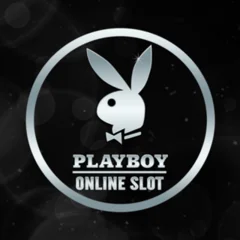 Playboy - TERRABET168