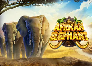 African Elephant - TERRABET168